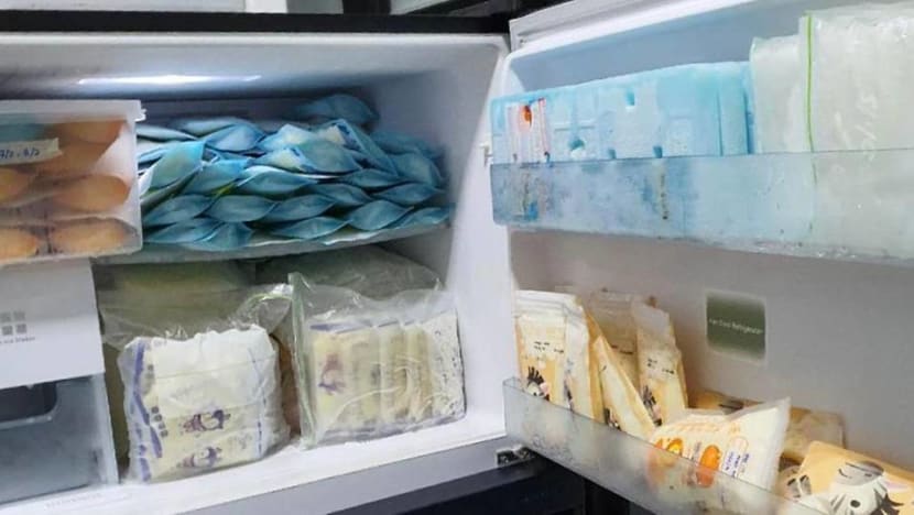 Undaunted by COVID-19 and border controls, Malaysian mums in Singapore send around 3,000kg of breast milk to babies back home Undaunted by COVID-19 and border controls, Malaysian mums in Singapore send around 3,000kg of breast milk to babies back home