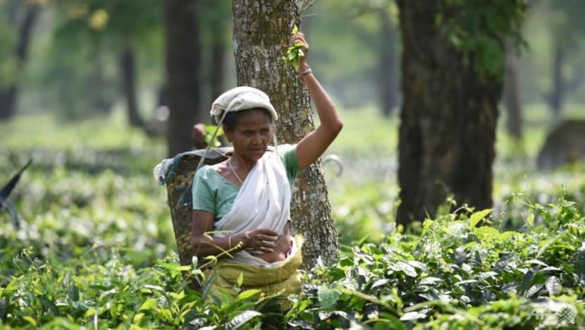 COVID-19 brews trouble for tea, disrupts supply as demand spikes COVID-19 brews trouble for tea, disrupts supply as demand spikes