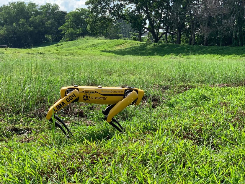 Spot the robot will broadcast a recorded message to remind park visitors to observe safe distancing measures and will be fitted with cameras to estimate the number of visitors in the park. Spot the robot will broadcast a recorded message to remind park visitors to observe safe distancing measures and will be fitted with cameras to estimate the number of visitors in the park.