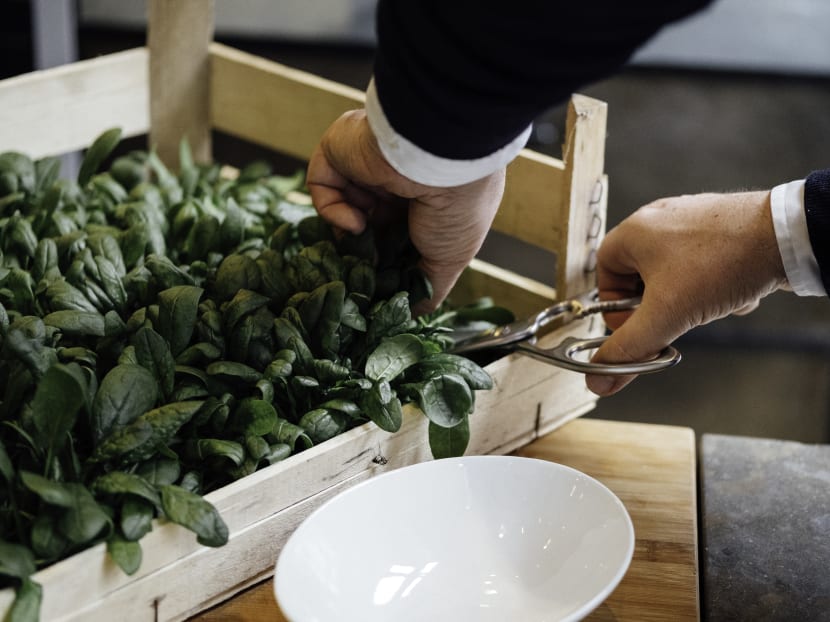 High-tech vertical farms to begin operations next year and bring fresher leafy greens to S’poreans’ plates High-tech vertical farms to begin operations next year and bring fresher leafy greens to S’poreans’ plates