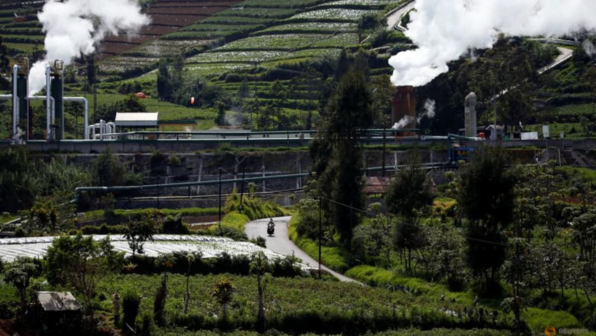 Indonesia akan kurangi subsidi batu bara di tengah perubahan hijau Bank Dunia
