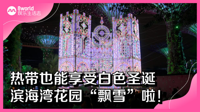 热带也能享受白色圣诞　滨海湾花园“飘雪”啦！