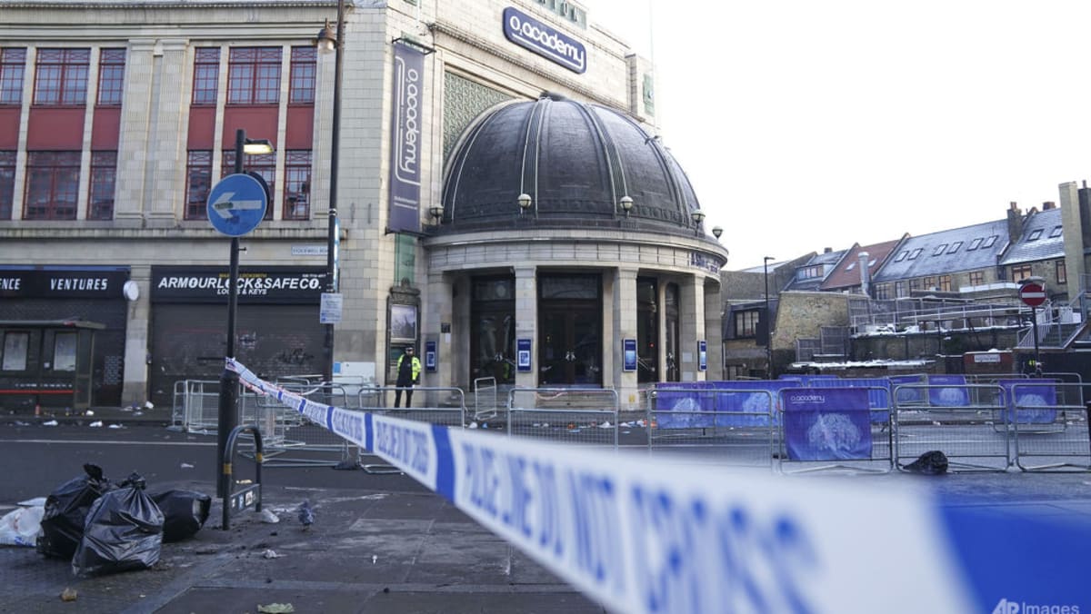 Woman injured in London concert crowd crush dies in hospital CNA