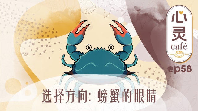 《心灵Cafe》EP58: 选择方向　螃蟹的眼睛