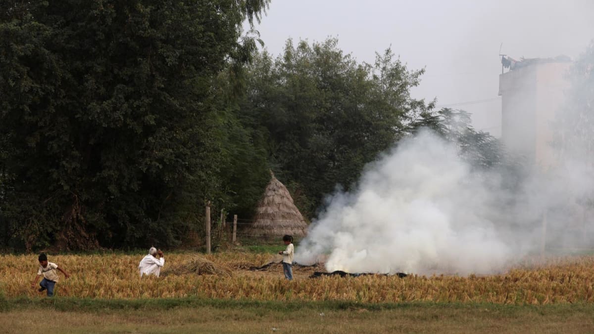 Indian farmers carry on burning stubble despite cost to health