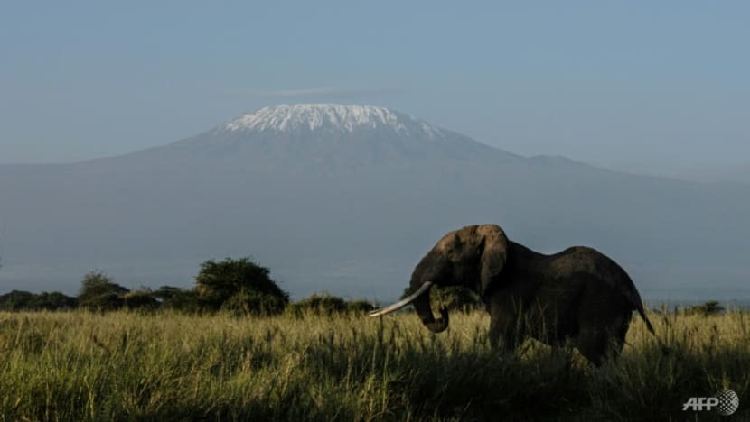 Crunch UN biodiversity meeting seeks to save 'planet in crisis' Crunch UN biodiversity meeting seeks to save 'planet in crisis'