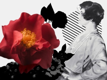 Power of red: Discover how Chanel is using the camellia flower to fight ageing | Interactive