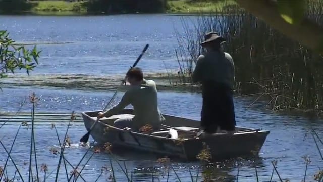 美国男子下湖捡飞盘疑遭鳄鱼攻击 尸体四肢剩一肢