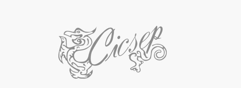 The 13th CICSEP China Dragon Awards