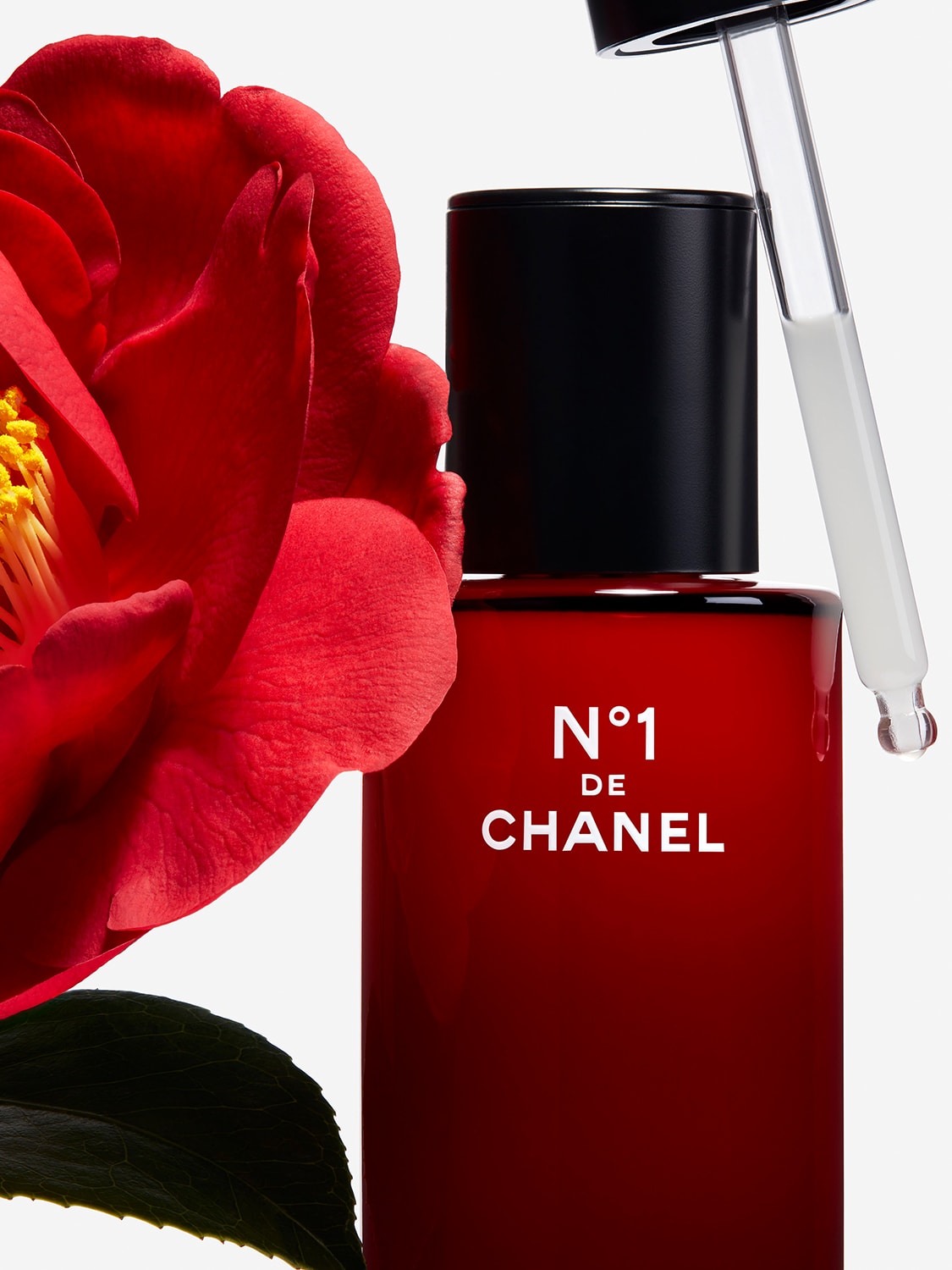 chanel red camellia revitalizing serum