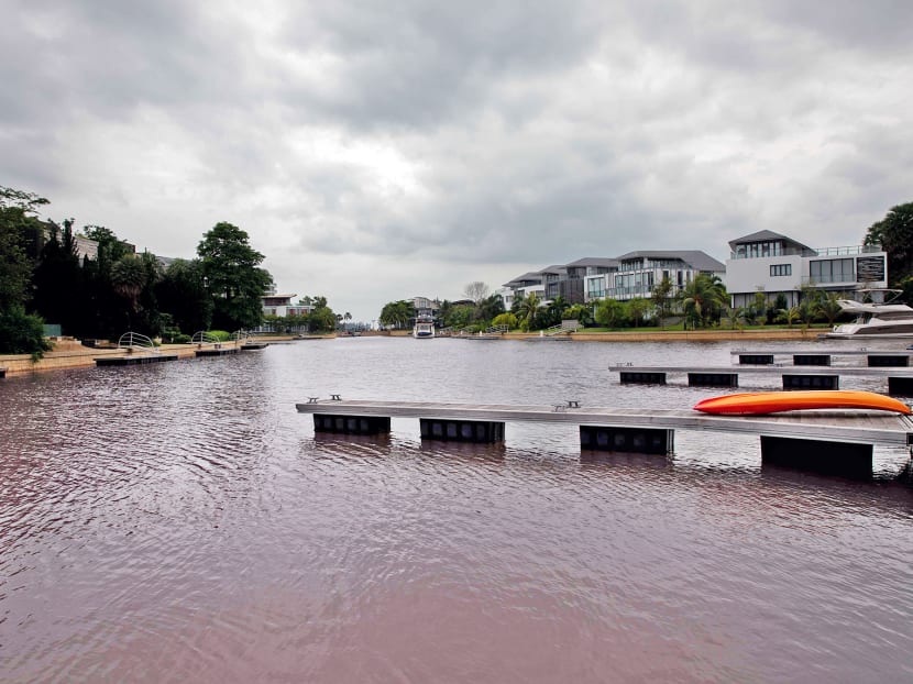 A photograph taken on Jan 14, 2020 of the waterway in Sentosa Cove that has turned pink.