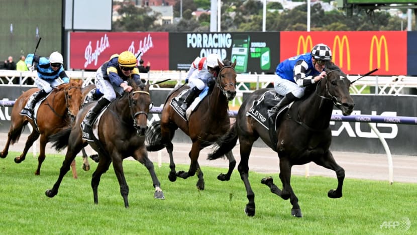 Gold Trip bolts home to win the Melbourne Cup Gold Trip bolts home to win the Melbourne Cup