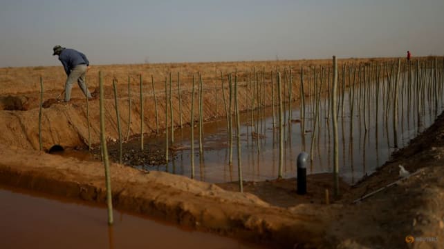 China's food security dream faces land, soil and water woes