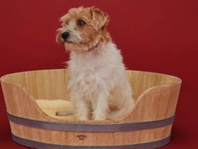 hermes dog bed wood