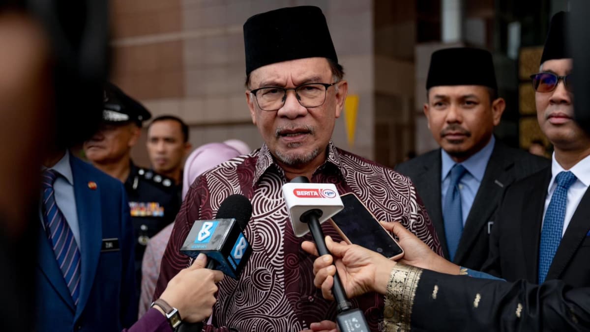 Muhyiddin and Mahathir cooperation will not affect PH-BN alliance in state polls: Malaysia PM Anwar