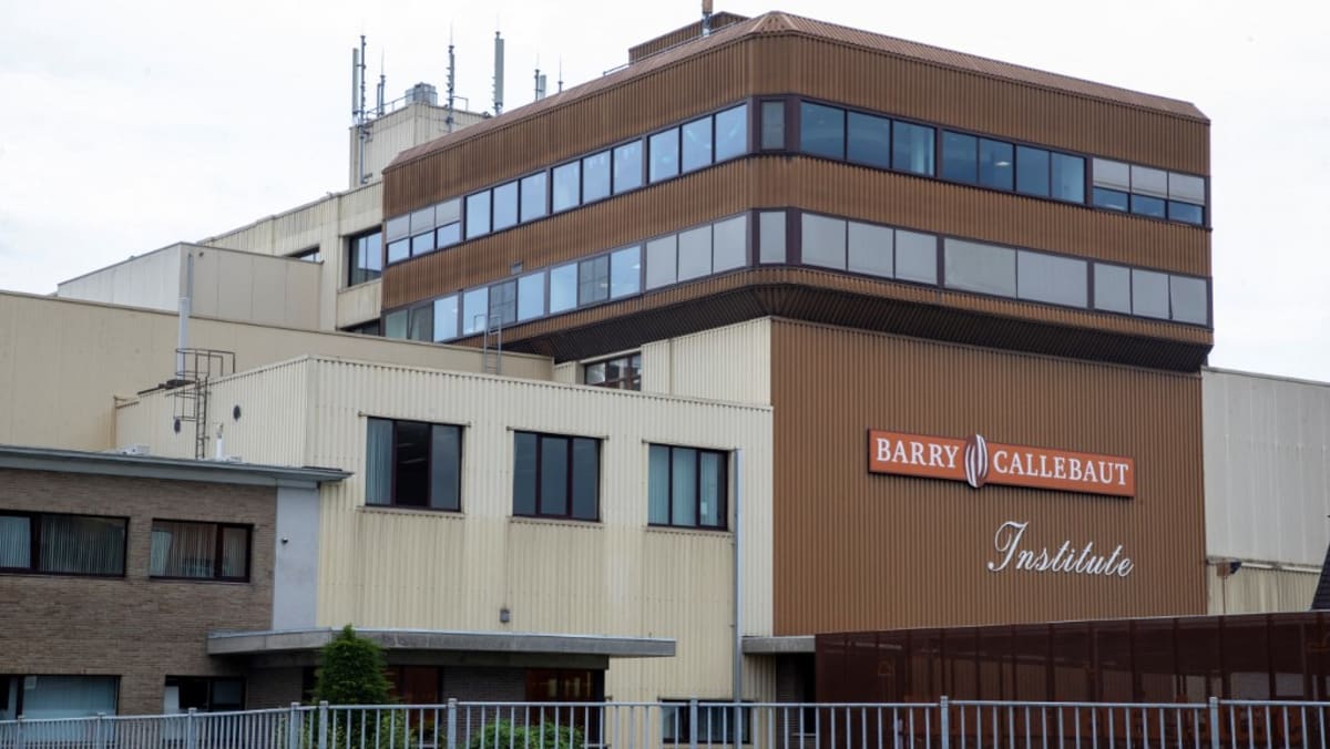 Grootste chocoladefabriek ter wereld herstart na gezondheidsproblemen