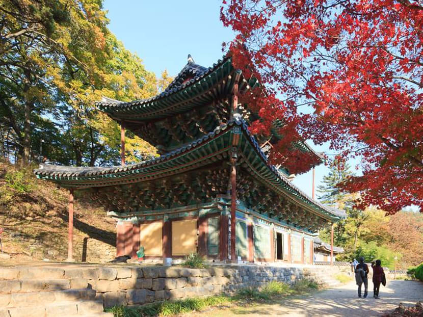 Korea Grand Sale to include street food tour, translation services and free WiFi Korea Grand Sale to include street food tour, translation services and free WiFi
