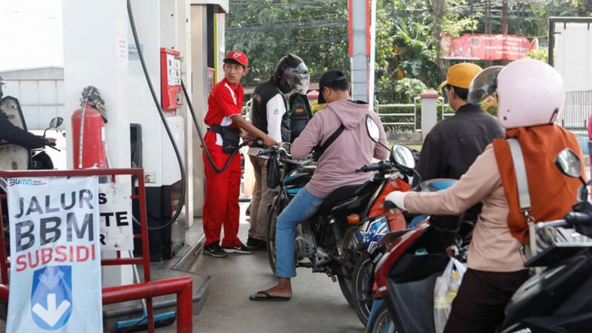indonesia-s-pertamina-plans-carbon-storage-test-by-year-end-director