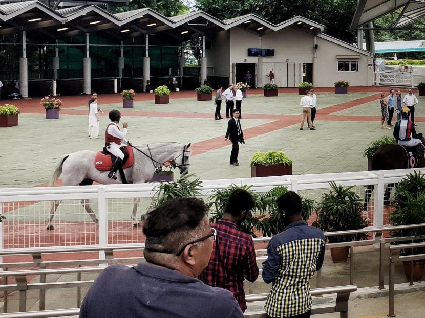 Punters viewing race horses at the parade ring in Singapore Turf Club at Kranji.