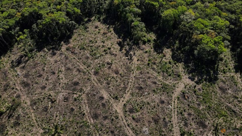 Explainer: What Brazil's election means for the Amazon rainforest Explainer: What Brazil's election means for the Amazon rainforest