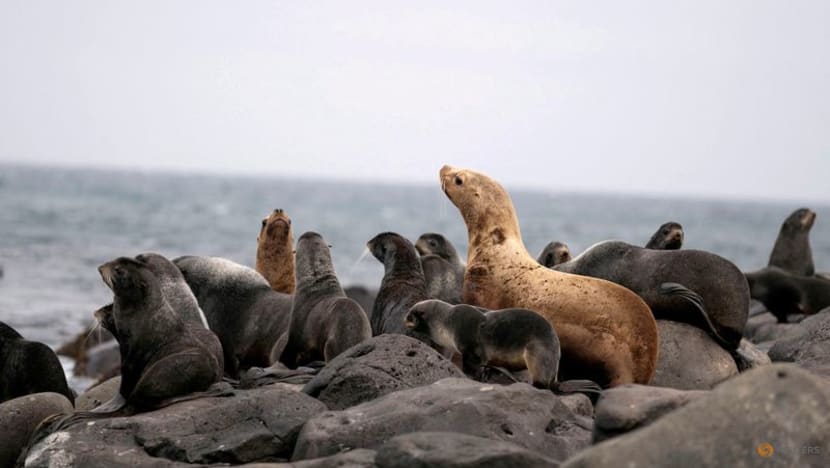 Businesses want COP15 nature summit to deliver clarity Businesses want COP15 nature summit to deliver clarity