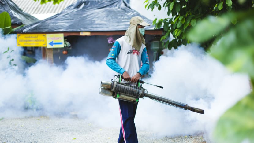 'We can defeat malaria': Chief of Asia-Pacific alliance on mosquito-borne disease 'We can defeat malaria': Chief of Asia-Pacific alliance on mosquito-borne disease