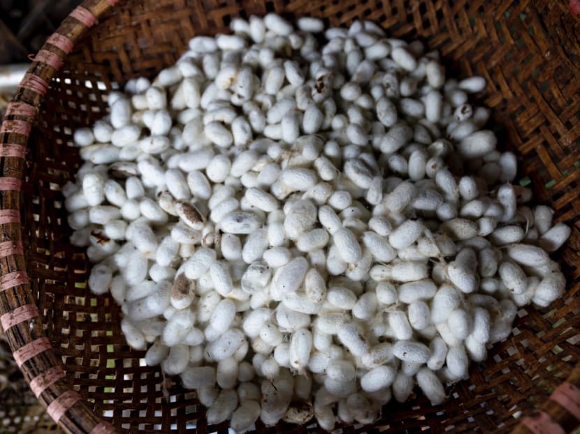 A bowl of cocoons of silkworms.