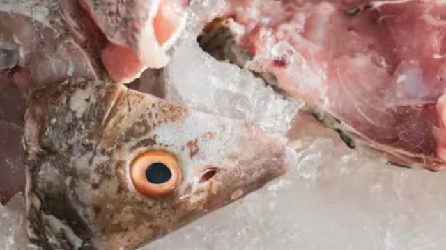 2种调味料助你快速解冻　冷冻鱼吃起来跟活鱼一样鲜美