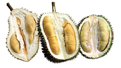 What's Your Durian Personality Type?