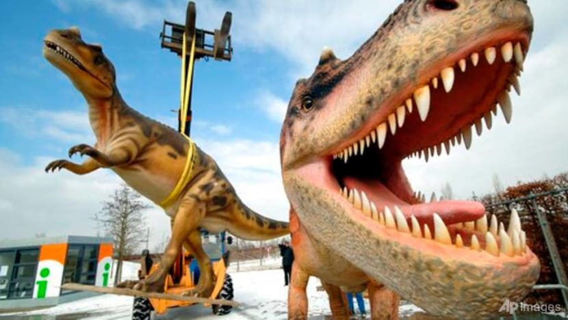 About 2.5 billion T-Rex roamed Earth but not at once: Study About 2.5 billion T-Rex roamed Earth but not at once: Study