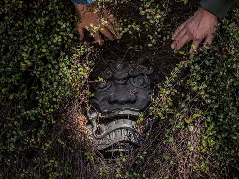 Inventing the mythical: A Japanese island where the wild things are