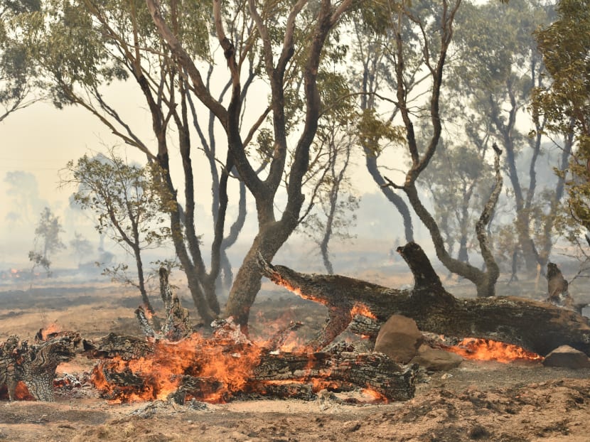 A bushfire burns near the town of Bumbalong, south of Canberra on February 2, 2020. A fire that threatened Canberra's southern suburbs was downgraded early on February 2, allowing firefighters to strengthen containment lines and protect residents.