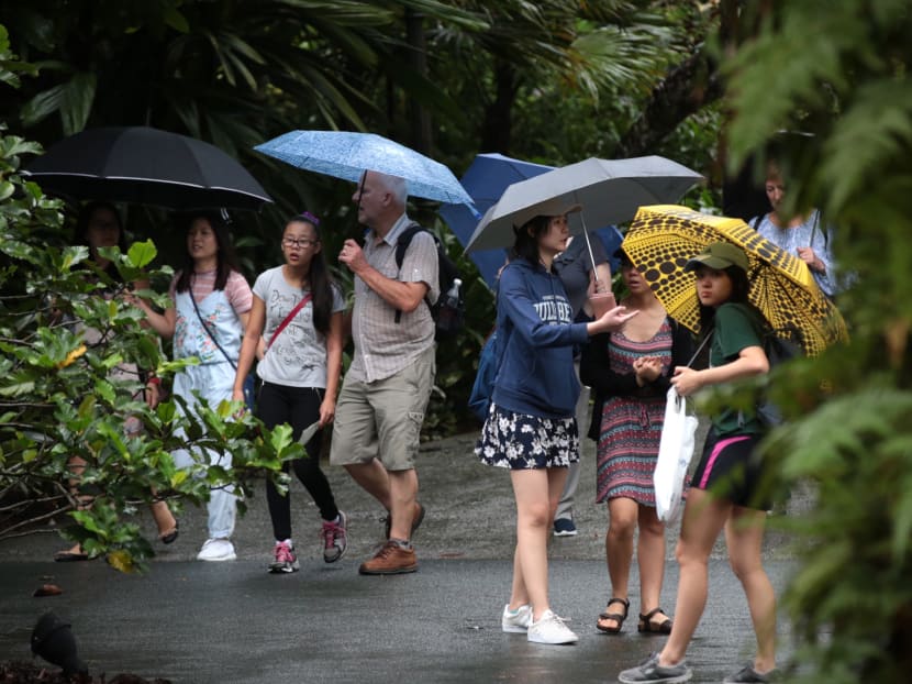 Visitors at the Singapore Botanic Gardens on Saturday (Jan 13). Singapore has experienced cool and wet weather this month. Photo: Jason Quah/TODAY