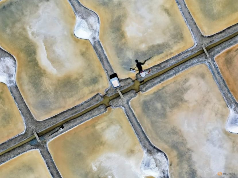 The unwitting winners of France's drought: salt farmers