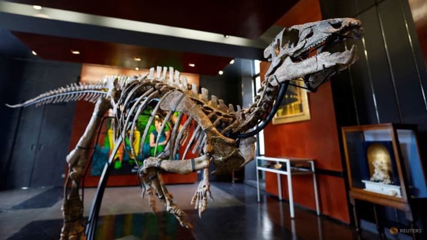 Small dinosaur fit for the living room to be sold at Paris auction Small dinosaur fit for the living room to be sold at Paris auction