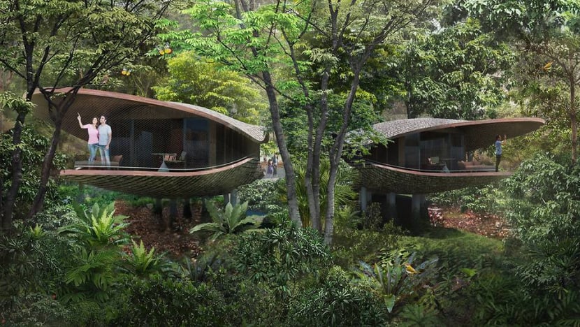 Rooms in new Mandai resort to include pod-shaped treehouses Rooms in new Mandai resort to include pod-shaped treehouses