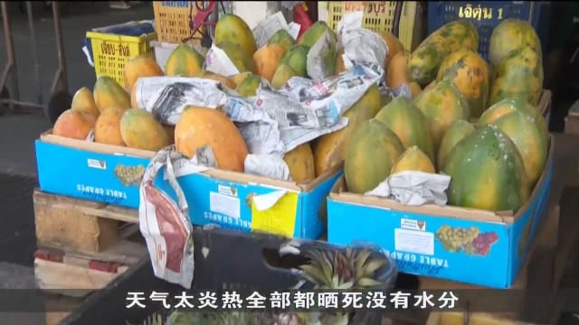 马国部分水果产量锐减多达一半 出口本地水果价格相应上调