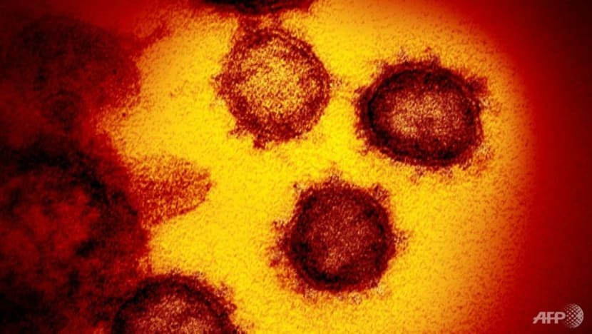COVID-19 infection may reduce fertility in men: Study COVID-19 infection may reduce fertility in men: Study