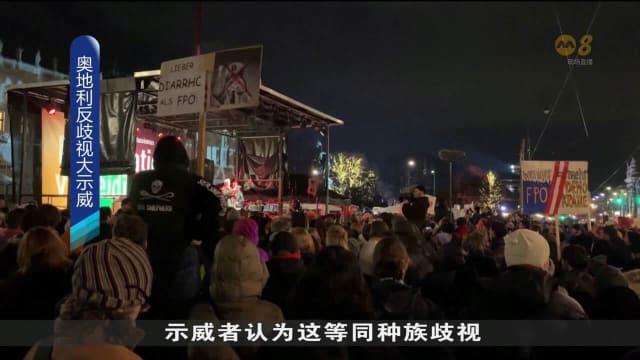 维也纳发歧视大示威 抗议驱逐异族背景公民出境