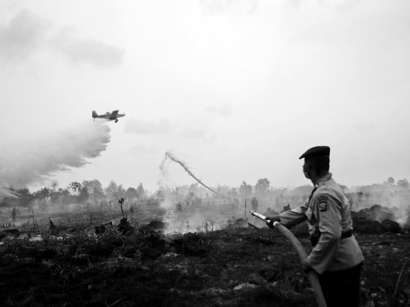 A water bomber dropping its payload as a police officer tries to extinguish a peat fire in Kampar, Riau province, in Sumatra in August. The reduction in fires this year must be credited to not only wetter weather, but also the political will and concerted efforts of the government of President Joko Widodo. PHOTO: REUTERS
