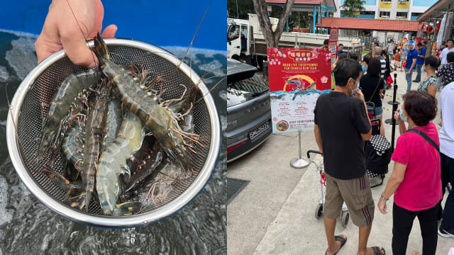 #sgdeals 只剩1天！活虎虾$19.90/kg，春节尽享笑哈哈！