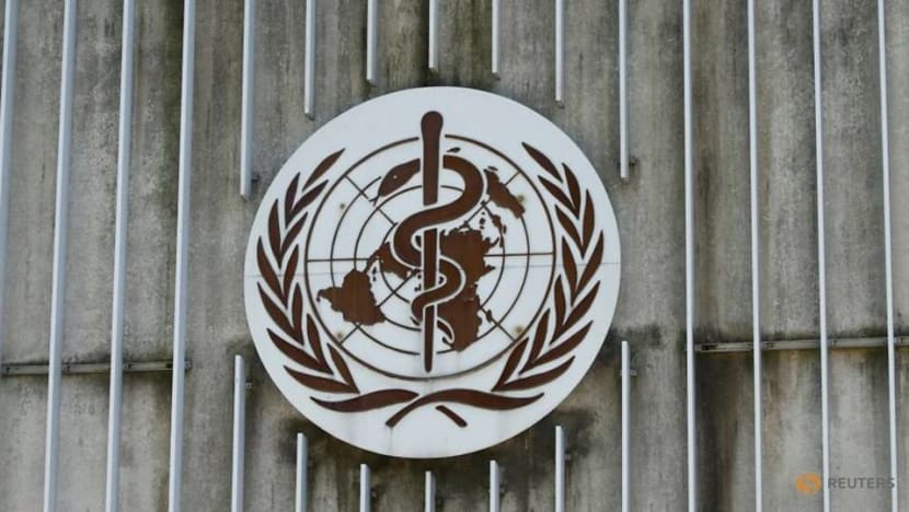 WHO says 172 countries engaging with global COVID-19 vaccine plan WHO says 172 countries engaging with global COVID-19 vaccine plan