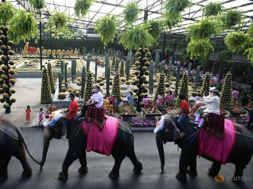 Couples in Thailand tie the knot on elephants on Valentine's Day Couples in Thailand tie the knot on elephants on Valentine's Day