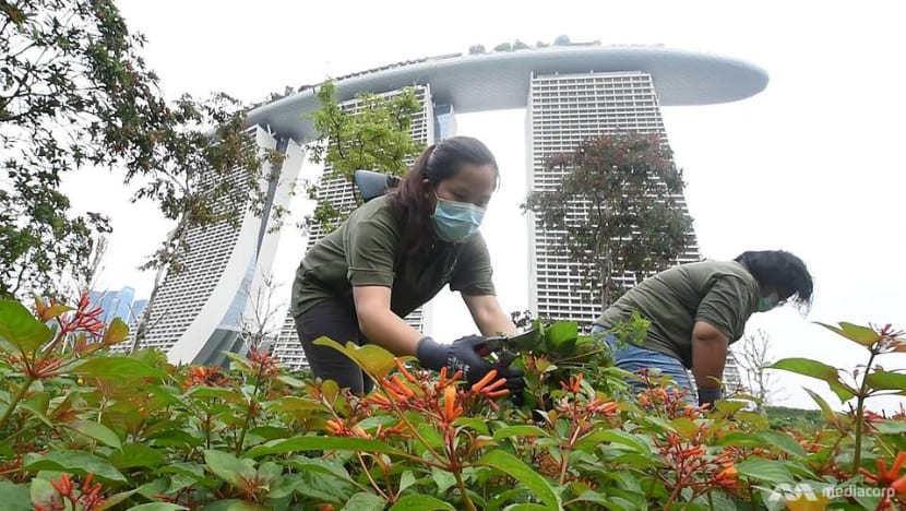 Going the extra mile to keep Gardens by the Bay neat and tidy during the COVID-19 circuit breaker Going the extra mile to keep Gardens by the Bay neat and tidy during the COVID-19 circuit breaker