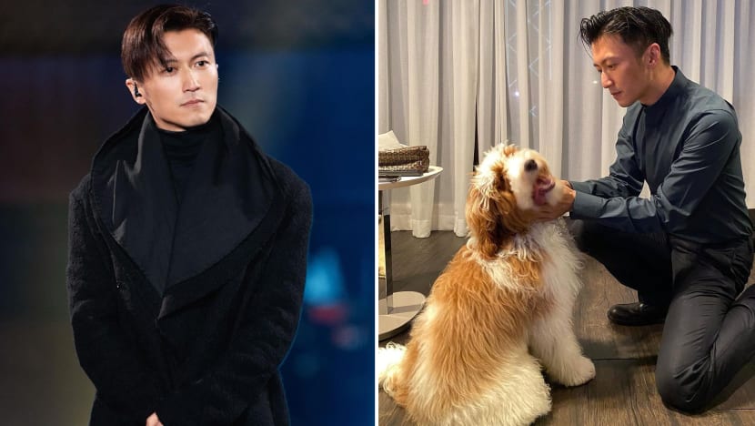 Hongkong Media Think Nicholas Tse Has Two Homes, One For His Dog, The Other For His Cats