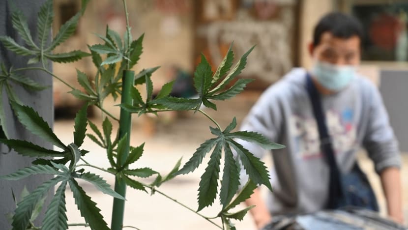 Commentary: Hong Kong's ban of CBD products signals strict post-COVID era as city reopens Commentary: Hong Kong's ban of CBD products signals strict post-COVID era as city reopens