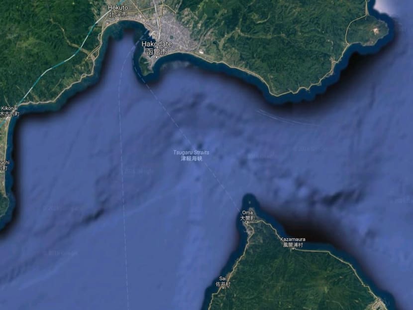 The Tsugaru Strait in northern Japan is less than 20km at its narrowest point, but there are strong currents and tricky conditions, which meant Toshio Tominaga actually swam 38km to reach the other side. Photo: Google Maps