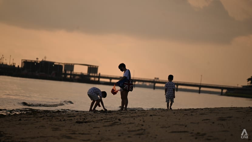 Beachgoers reminded to not collect, touch wildlife at intertidal zones: NParks Beachgoers reminded to not collect, touch wildlife at intertidal zones: NParks