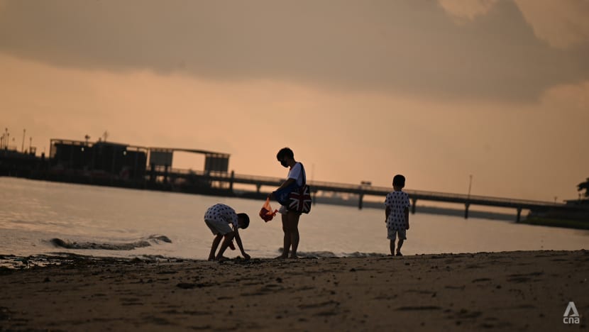 Beachgoers reminded to not collect, touch wildlife at intertidal zones: NParks