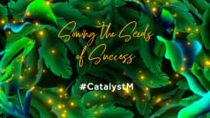 Catalyst M: Sowing the Seeds of Success